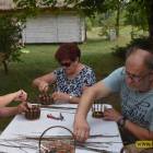 zdjęcie nr 13