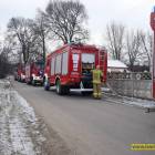 Fotka nr 1 z 5
