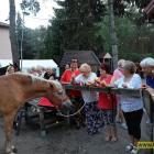zdjęcie nr 71