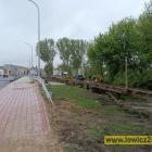Fotka nr 4 z 21