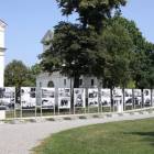 zdjęcie nr 56