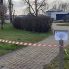 zdjęcie nr 10