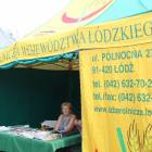 zdjęcie nr 11