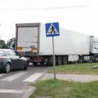 Fotka nr 2 z 4