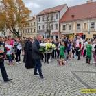 zdjęcie nr 9
