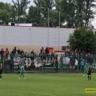 Fotka nr 0 z 17