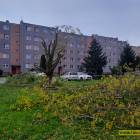 zdjęcie nr 7