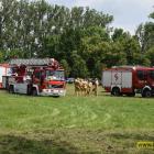 zdjęcie nr 60