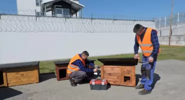 Skazani z Zakładu Karnego w Łowiczu pomagają bezdomnym zwierzętom