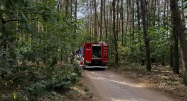 Pożar lasu pod Łowiczem. Strażacy kilkukrotnie wyjeżdżali w to samo miejsce