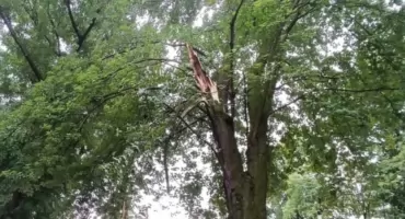 Połamane drzewa, zerwane linie energetyczne! Burza nie oszczędziła powiatu łowickiego