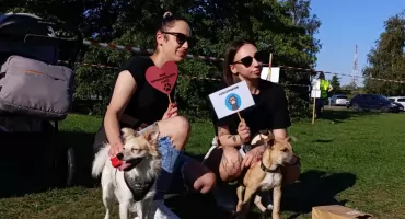 Łowiczanie czipują psy i koty. Wszystko za darmo w Parku Błonie (foto,film)