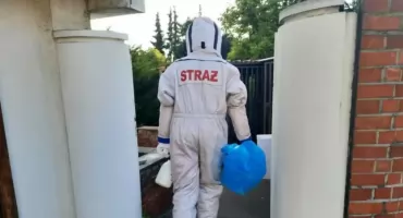 Groźne owady na poddaszu. Interweniowali strażacy