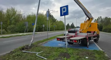 Łowicz. Osobówka zakończyła jazdę na latarni (foto)