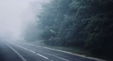 Uwaga kierowcy! Gęsta mgła może utrudniać jazdę w nocy i rano