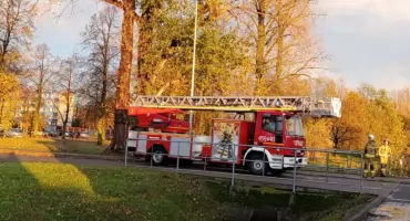 Drzewa na drogach i konary nad budynkami! Strażacy mieli pełne ręce pracy
