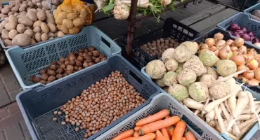 Sezonowe warzywa i owoce w listopadzie. Co warto jeść? (foto)