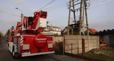 Kot Filemon postawił na nogi nie tylko strażaków. Nietypowa akcja w Łowiczu (foto, film)