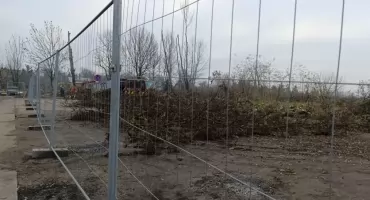 Drzewa wycięte. Przygotowują teren pod budowę żłobka (foto)